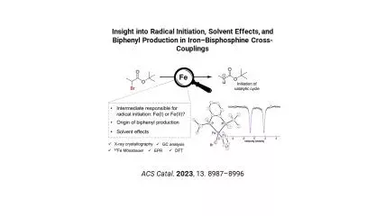 graphical abstract
