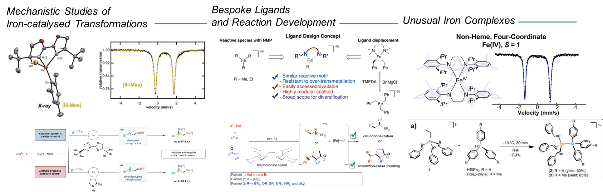 graphical abstract