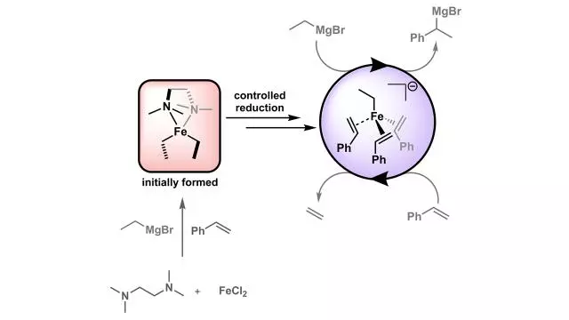 tmeda in iron catalyzed hydromagnesiation formation of ironii alkyl species for controlled reduction to alkene stabilized iron0