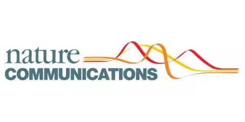 graphical abstract