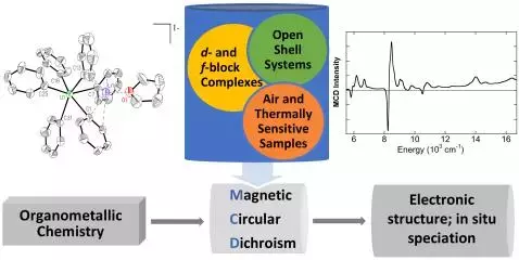 graphical abstract