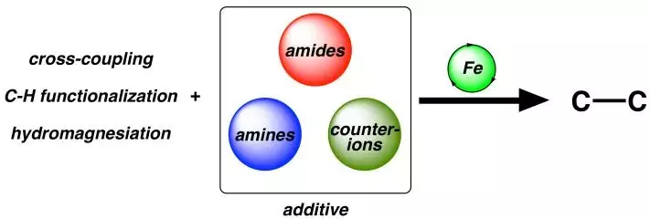 graphical abstract
