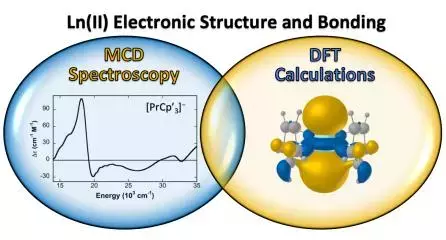 graphical abstract
