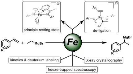 graphical abstract