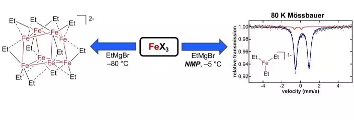 graphical abstract