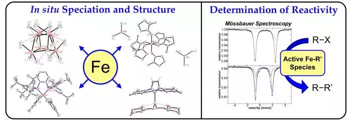 graphical abstract