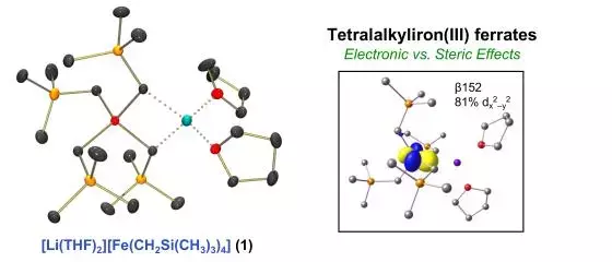 graphical abstract