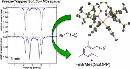 a combined mossbauer magnetic circular dichroism and density functional theory approach for iron cross coupling catalysis