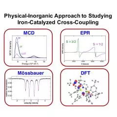 a physical inorganic approach for the elucidation of active iron species and mechanism in iron catalyzed cross coupling