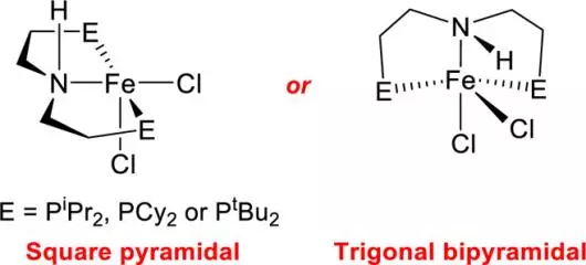 flexible binding of pnp pincer ligands to monomeric iron complexes