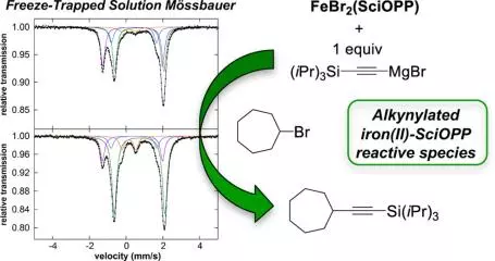 intermediates and reactivity in iron catalyzed cross couplings of alkynyl grignards with alkyl halides