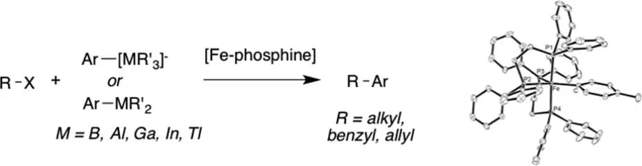 iron phosphine catalyzed cross coupling of tetraorganoborates and related group 13 nucleophiles with alkyl halides