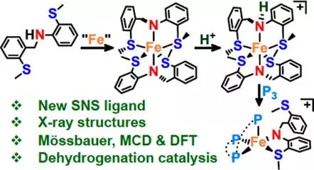 ironii complexes of a hemilabile sns amido ligandsynthesis characterization and reactivity