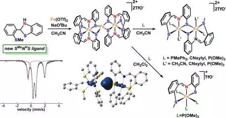 mononuclear dinuclear and trinuclear iron complexes featuring a new monoanionic sns thiolate ligand