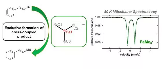 the n methylpyrrolidone nmp effect in iron catalyzed cross coupling with simple ferric salts and memgbr