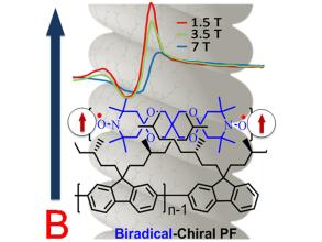 manipulating magneto optic properties of a chiral polymer by doping with stable organic biradicals